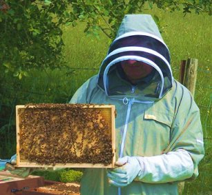 A Cornwall Honey beekeeper