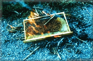Burning old contaminated frames