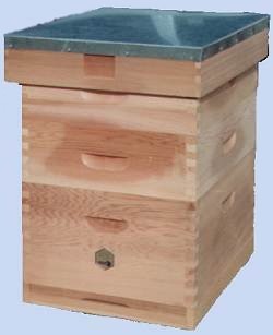 Langstroth Hive