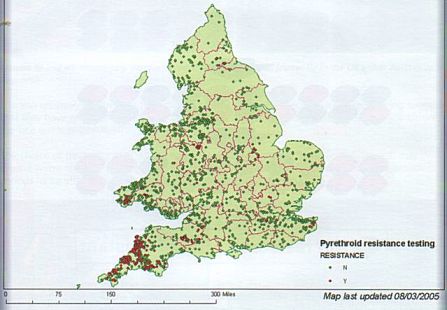 A map showing cases of confirmed pyrethroid resistance in England and Wales (as of March 2005)