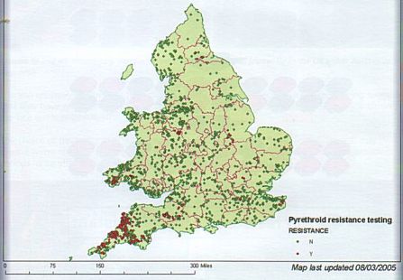 A map showing cases of confirmed pyrethroid resistance in England and Wales (as of March 2005)